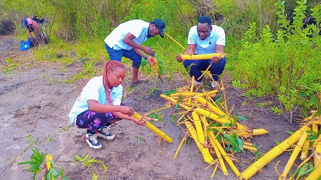 WhatsApp Image 2025-04-03 at 1.45.28 PM