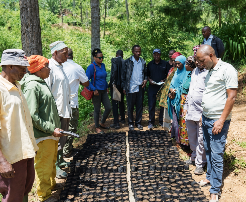 BAMBOO PICS CONTAINER-2